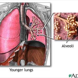 Homeopathic Medicine For Bronchitis - Lung Infections