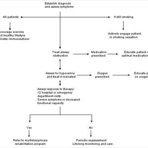 Medicine For Severe Bronchitis 